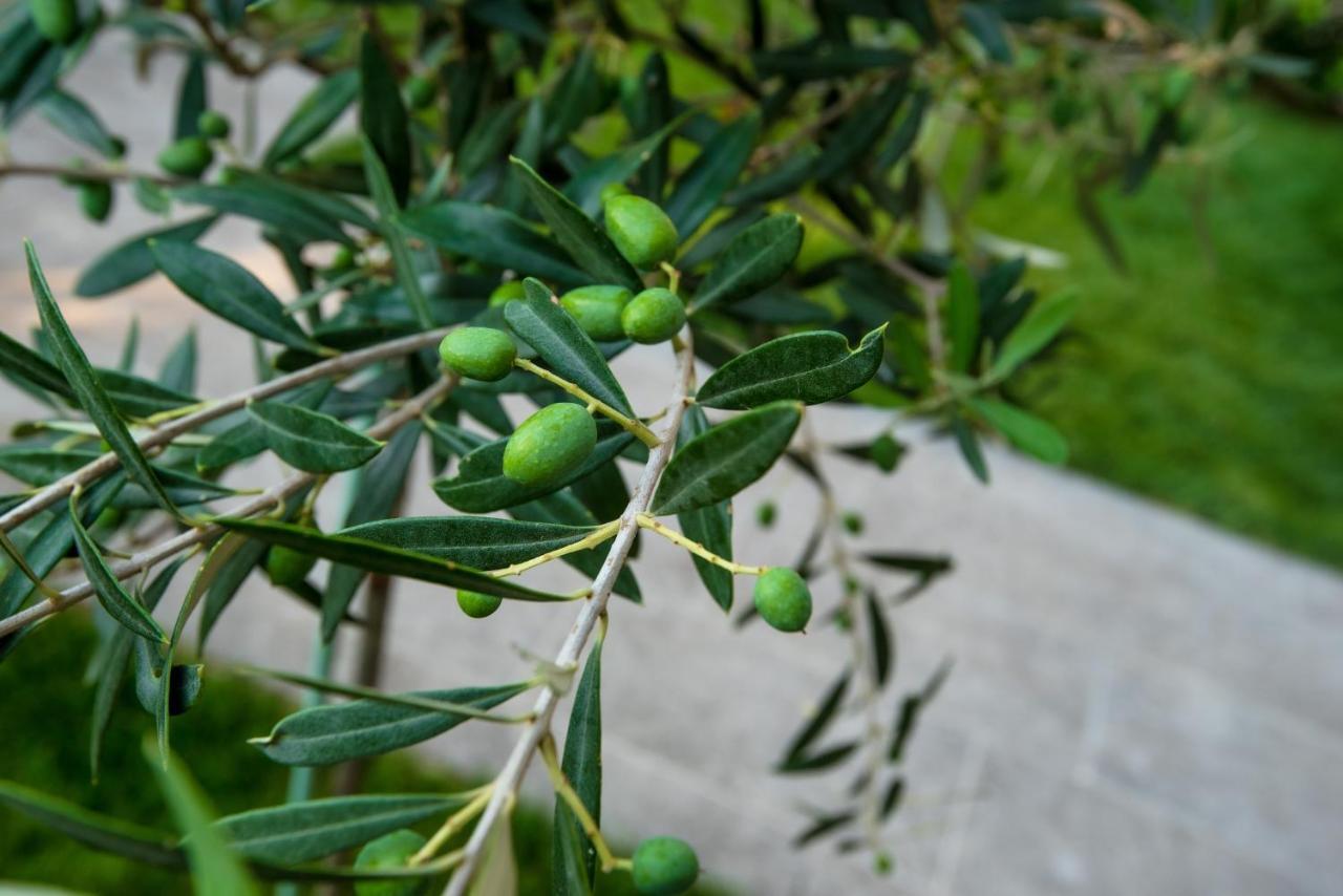 Olive 102 Apartment Peraia  Bagian luar foto